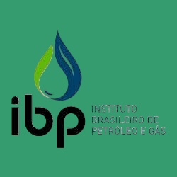 Instituto Brasileiro de Petróleo e Gás (ibp)