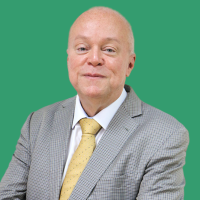 Pedro Valls Feu Rosa