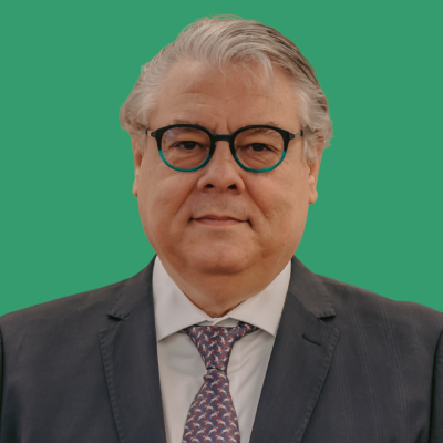 Marcelo Figueiredo
