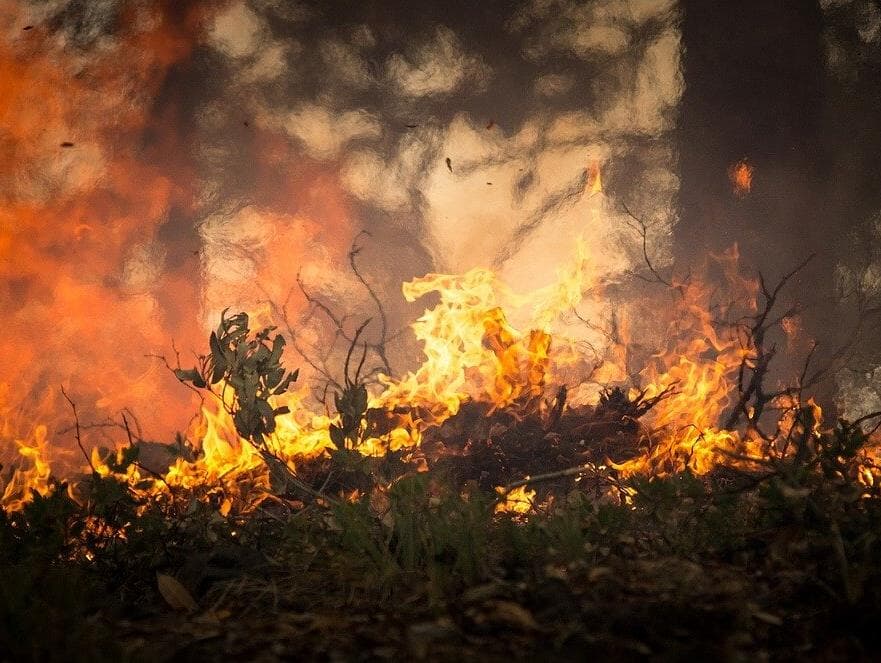 AGU abre ação contra autores de queimadas na Amazônia, e cobra R$ 89 milhões