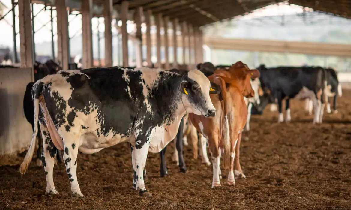 Carrefour recua e pede desculpas por "confusão" em veto a carne do Mercosul