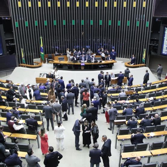 12 deputados candidatos têm zero alinhamento com a pauta ambiental