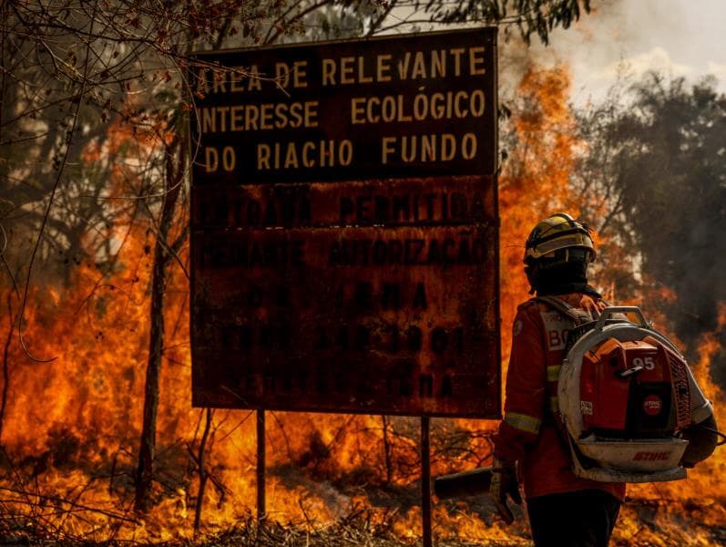 Só 32 parlamentares destinaram emendas de interesse do Ministério do Meio Ambiente