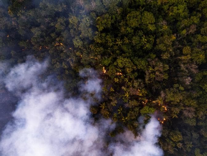 Incêndio florestal força fechamento de escolas em Brasília. Veja imagens aéreas