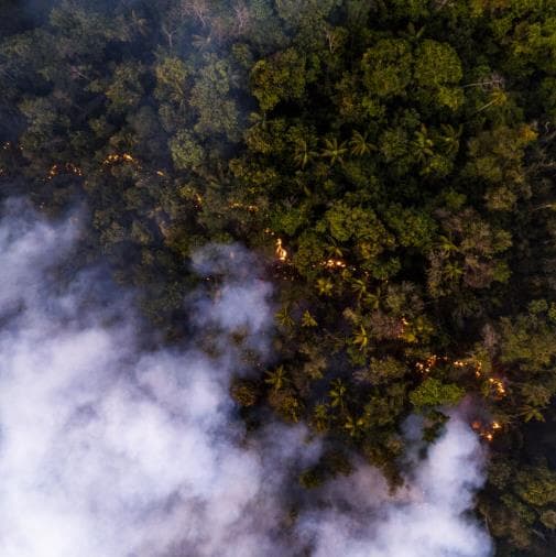 Incêndio florestal força fechamento de escolas em Brasília. Veja imagens aéreas