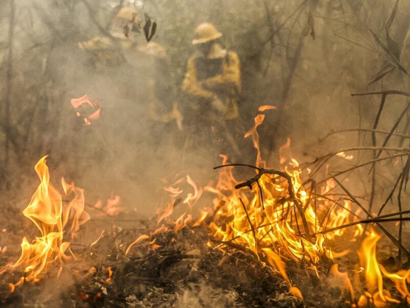 Onda de incêndios extrapola crise climática, diz Carlos Nobre