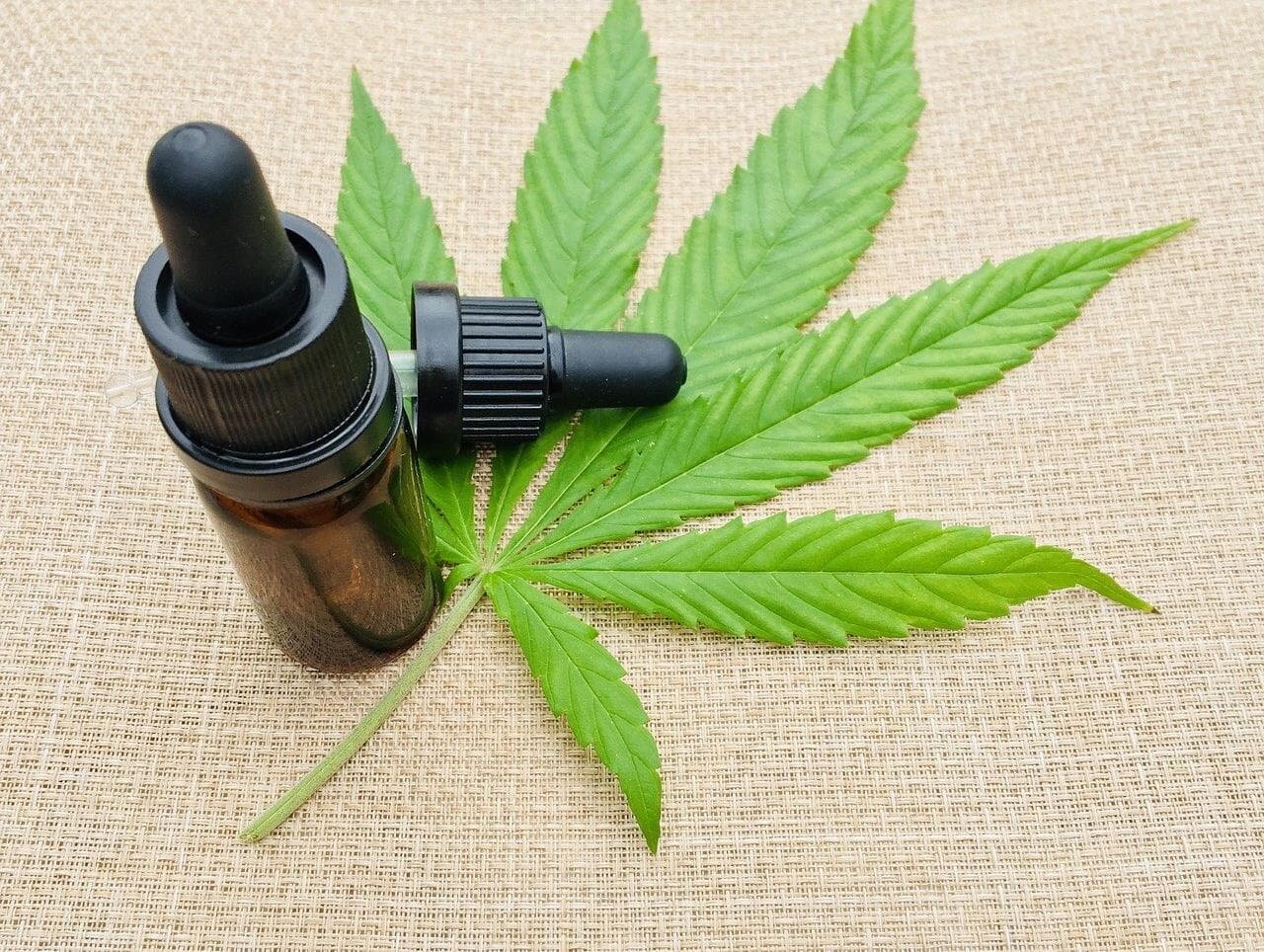 Mercado de cannabis medicinal deve ultrapassar a marca de R$ 1 bilhão em 2025