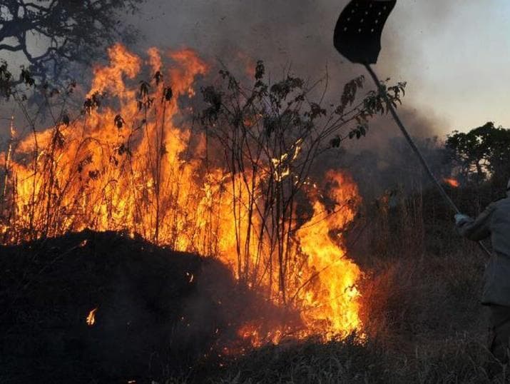 Em dois meses, queimadas deixaram mais de mil pessoas desalojadas