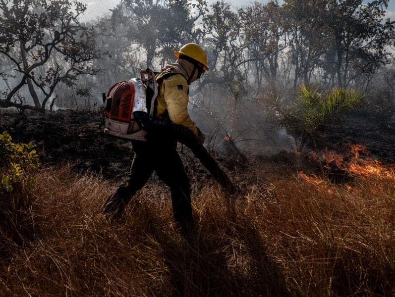 Incêndios na Amazônia em 2024 já superam ano marcado pelo "dia do fogo"