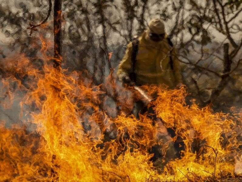 Governo aumenta e cria multas para coibir incêndios florestais em decreto