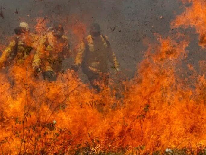 Marina aponta ação humana em incêndios no Pantanal: "Uma das piores situações já vistas"