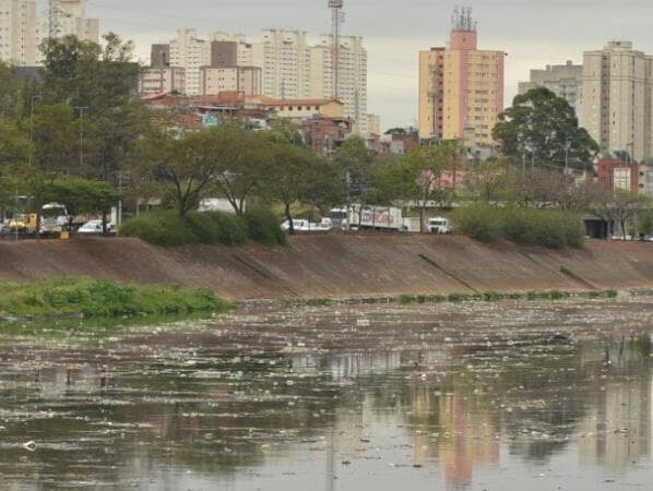 Um chamado à ação pelos rios da Mata Atlântica