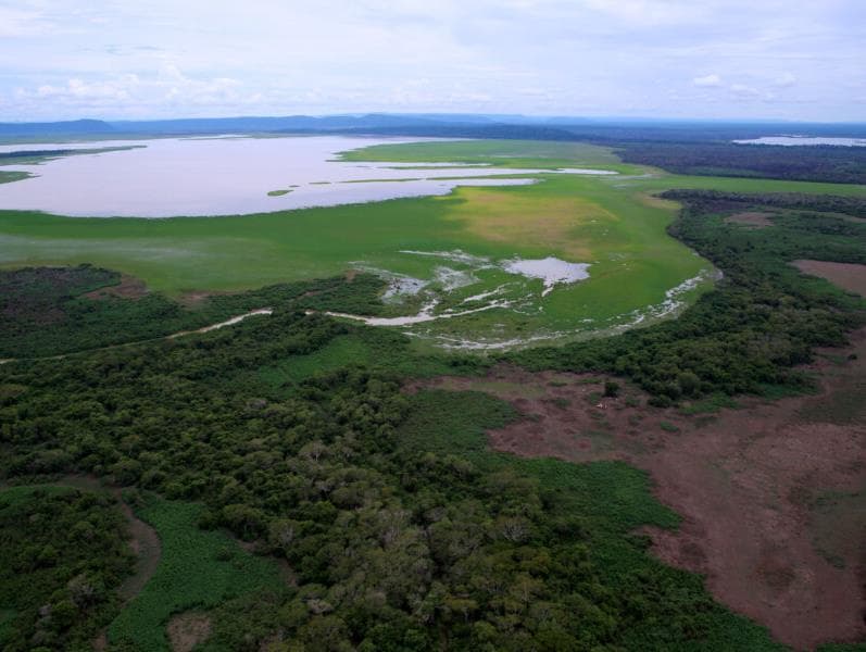 PV vai ao STF contra lei que autoriza pecuária em área de preservação