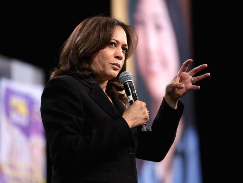 Unificação partidária é o maior desafio de Kamala Harris, explica especialista