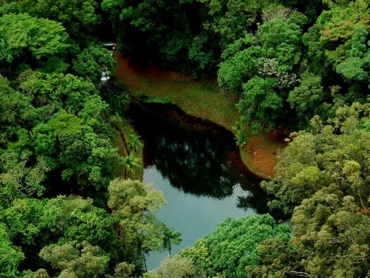 Comissão da Câmara lança Observatório de Florestas Públicas