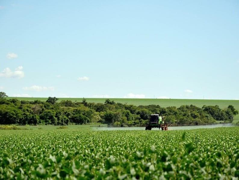 Você vai saber quanto agrotóxico tem no seu alimento