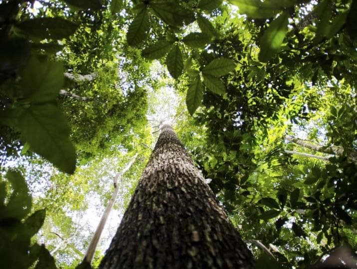 Virada Parlamentar Sustentável produz 88 propostas legislativas