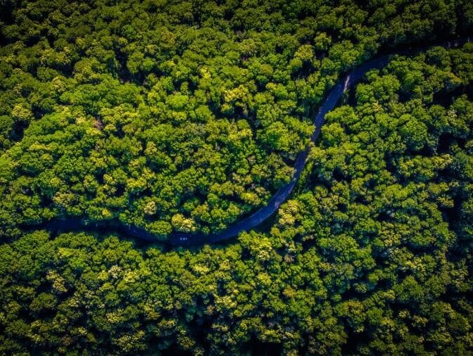 O Brasil desperdiça liderança no clima