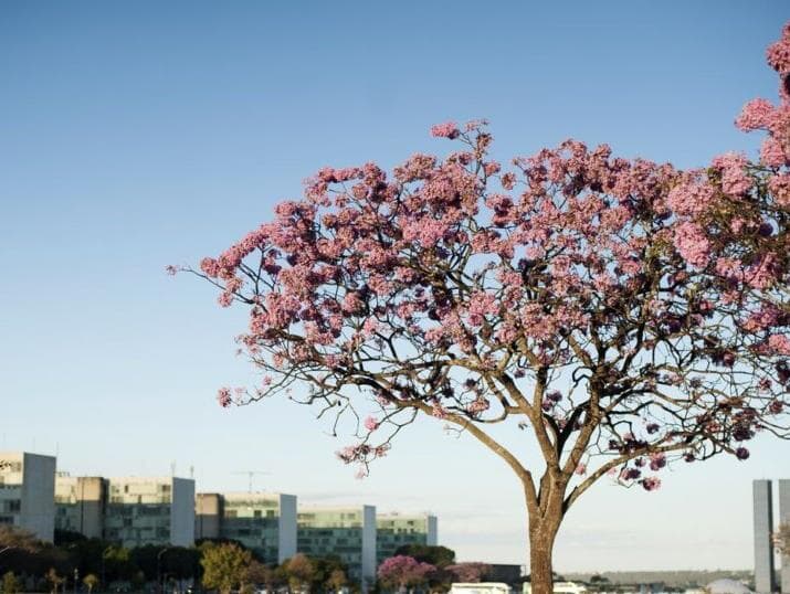 Prêmio Congresso em Foco 2023: os aptos no Clima e Sustentabilidade