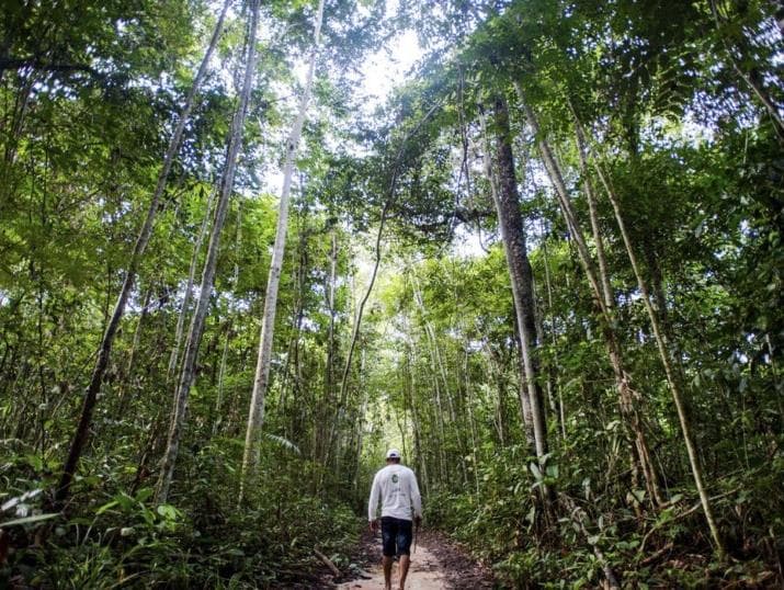 Câmara realiza audiência sobre sociobioeconomia