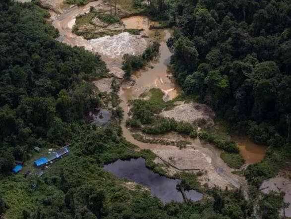 Nova frente parlamentar busca solução sustentável para o garimpo