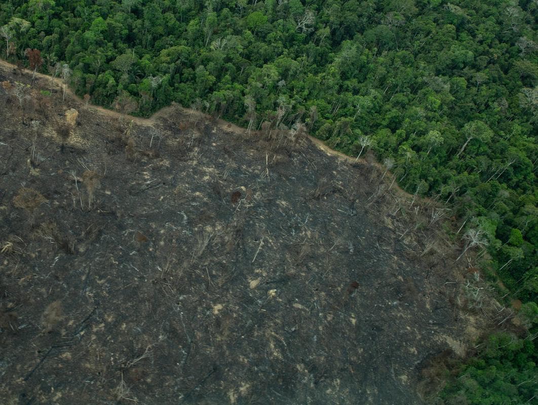 Reforma fundiária estimulou grilagem na Amazônia, alerta relatório no Senado