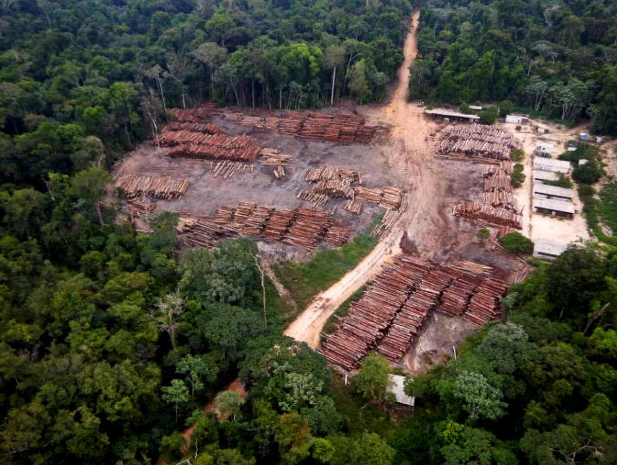 Meio ambiente no Brasil "regrediu 30 anos em três", afirmam deputados