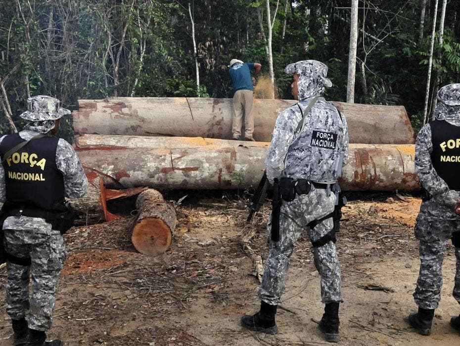 Obra relata risco histórico de desmatamento predatório na Amazônia