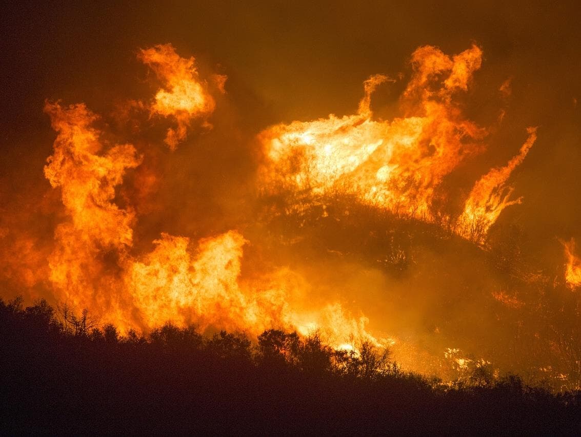 Guedes compara queimadas na Amazônia a incêndio de Notre-Dame