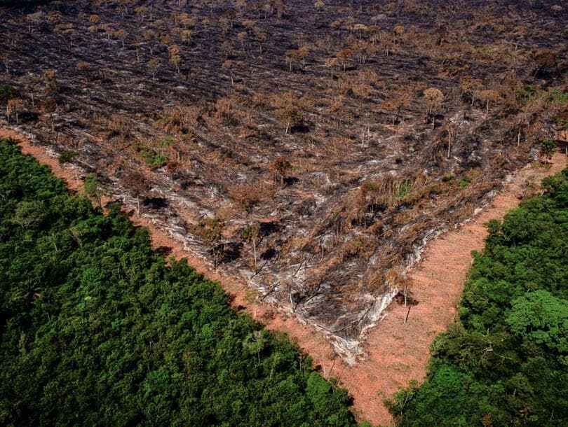 Levantamento do Inpe mostra manutenção de taxas de desmatamento na Amazônia