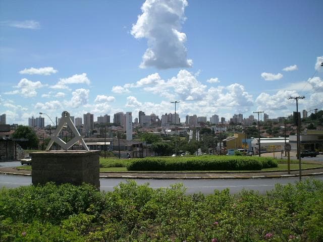 É mentira que lockdown levou morador de Araraquara a comer gato