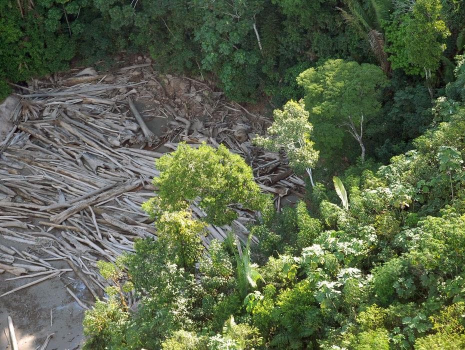 Ao vivo: Congresso em Foco debate Lei de Licenciamento Ambiental