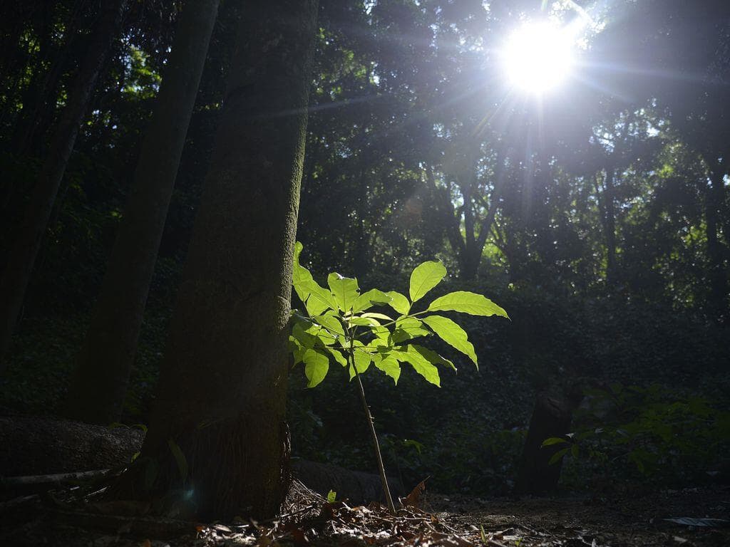 Uma nova clivagem política pelo Clima & Meio Ambiente no parlamento