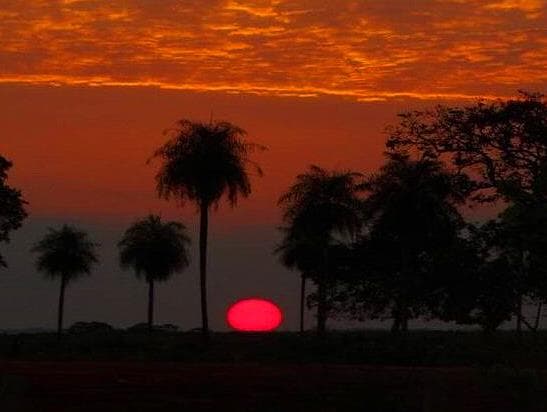 Boas surpresas nas percepções sobre meio ambiente e clima?