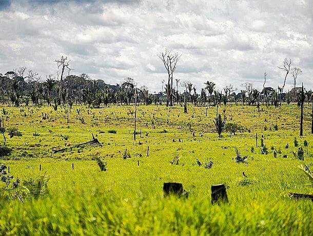 Bolsonaro anuncia veto à venda de terras a estrangeiros