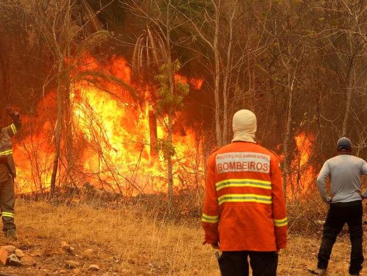 Ministério da Economia remaneja R$ 60 milhões para combate a incêndios