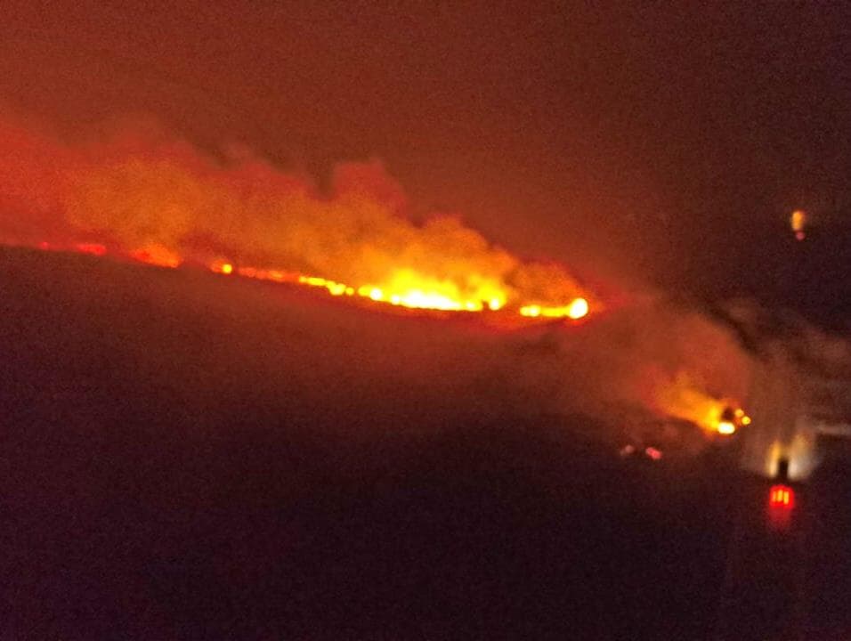 Veja imagens da área de queimadas no Pantanal visitada por senadores