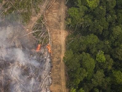 Papa recebe dossiê contra o desmonte ambiental no país; veja a íntegra