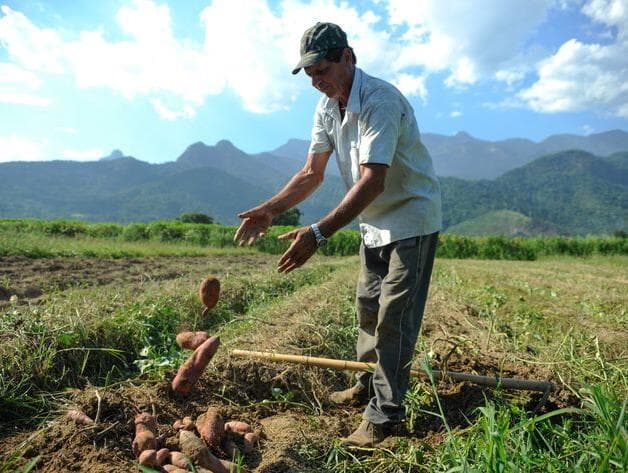 Os invisíveis no meio rural