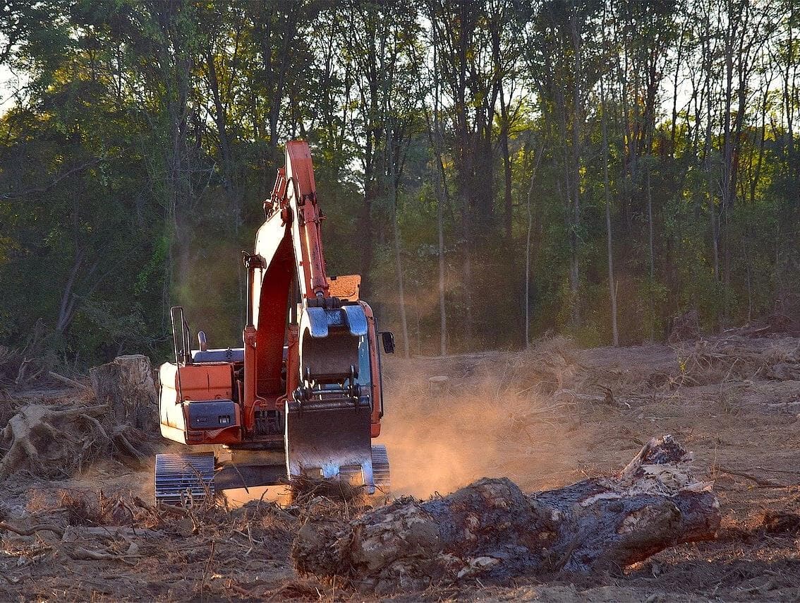 Amazônia perdeu área equivalente ao dobro da cidade de São Paulo no 1º semestre