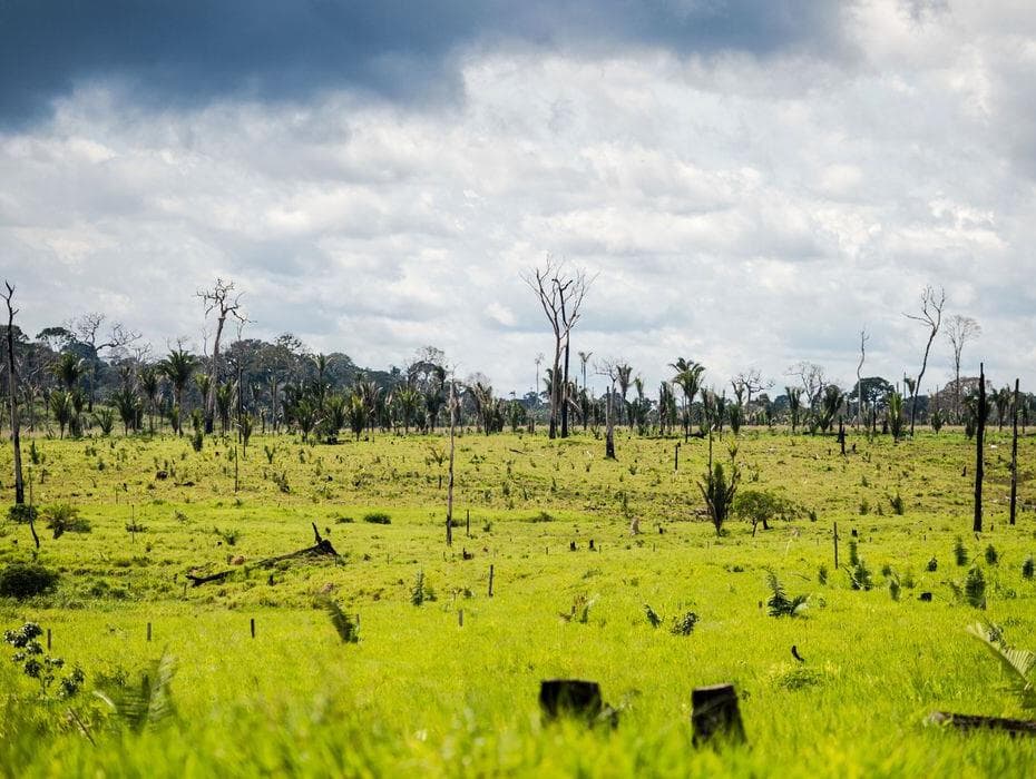 A política ambiental está sob comando do Ministério da Agricultura