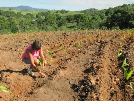 MP da regularização fundiária vira projeto de lei e relator promete diálogo