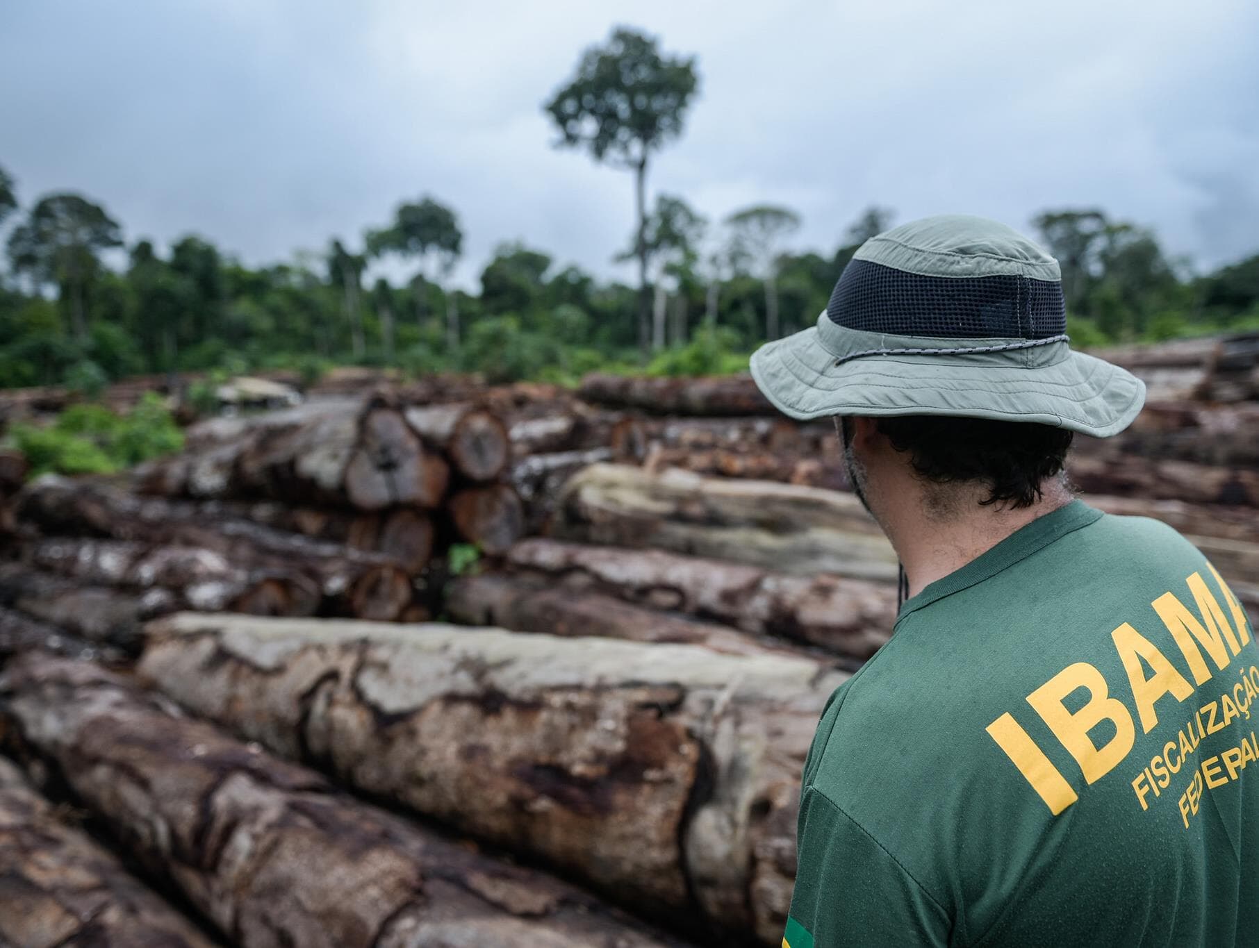 MP que reduz áreas de proteção ambiental na Amazônia deve ir a Plenário