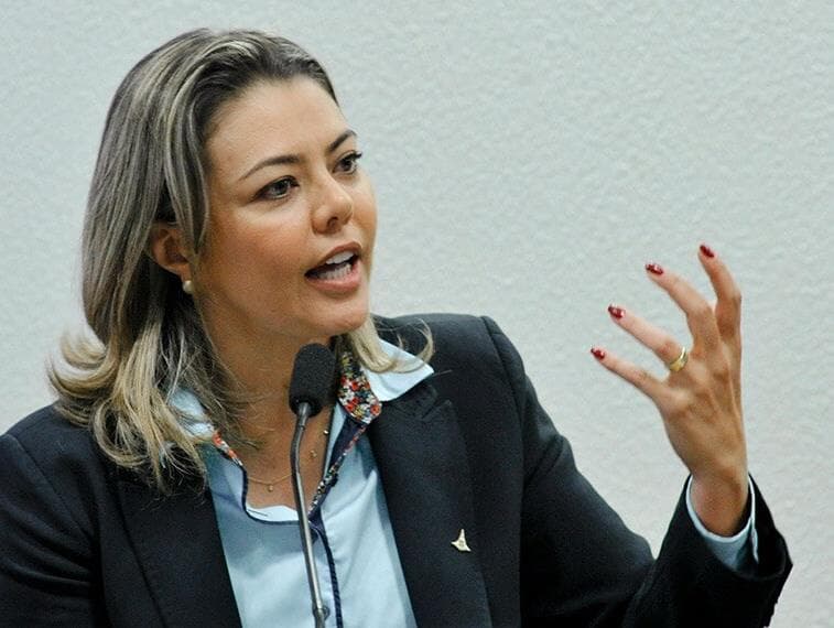 Senado aprova mercado de carbono após acordo entre governo e ruralistas