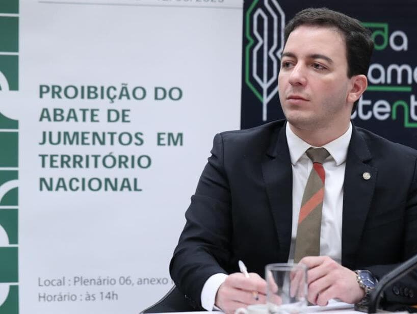 Câmara debate projeto que proíbe o abate de jumentos no país