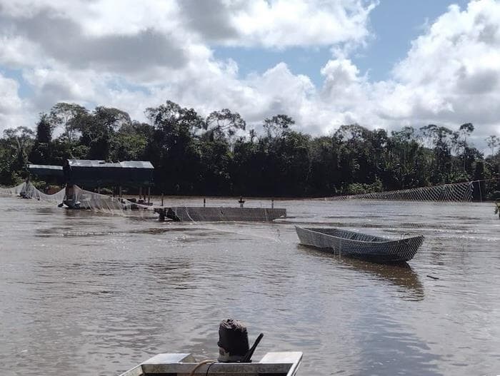 Garimpeiros atacam base federal na Terra Indígena Yanomami