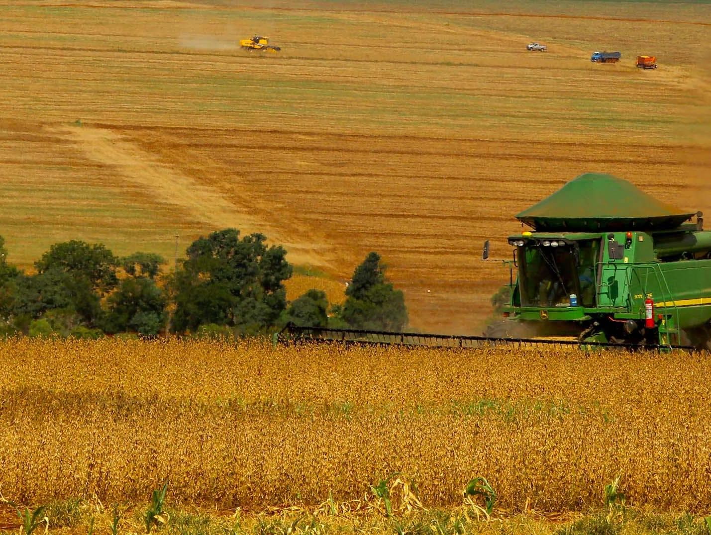 Agropecuária responde por mais de 90% do desmatamento nos trópicos, indica estudo