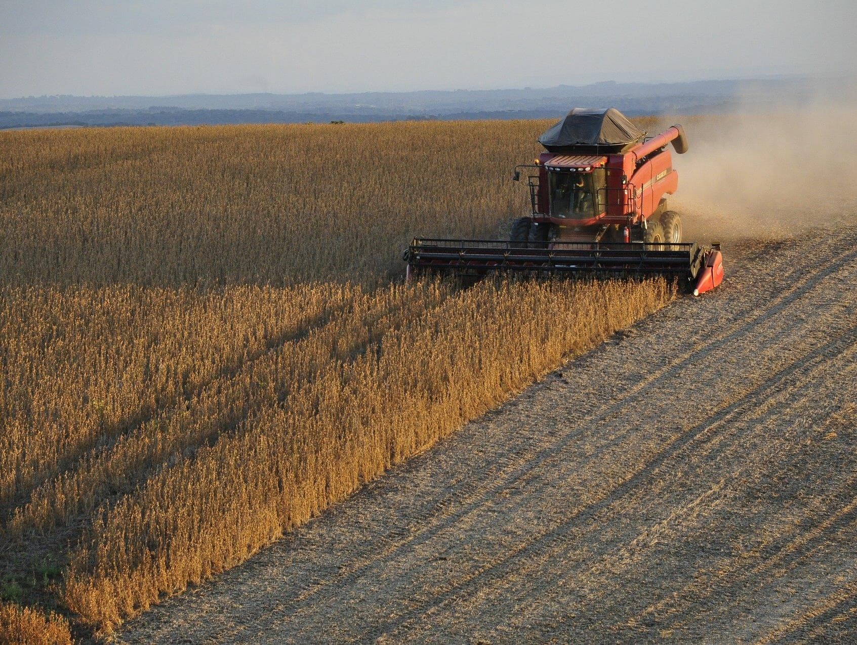 Reino Unido proíbe importação de commodities provenientes de áreas desmatadas