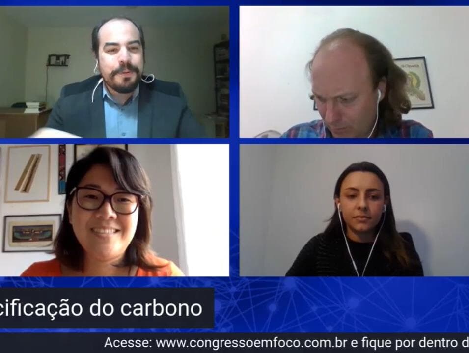 Especialistas defendem protagonismo do Brasil na cobrança por emissões de carbono