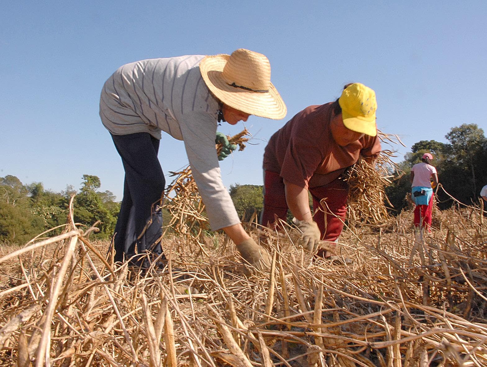 Bolsonaro veta auxílio a agricultores familiares